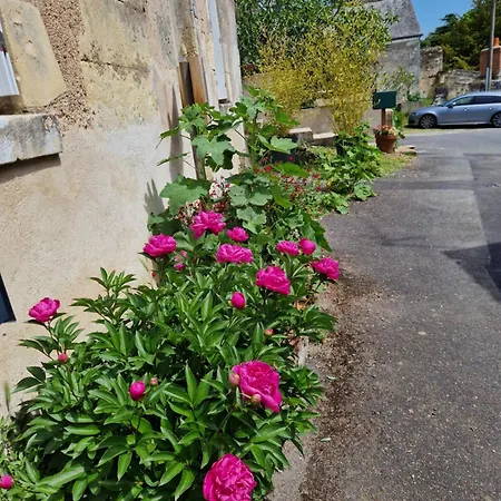 La Loge De Gabrielle Villa Montlouis-sur-Loire Exterior photo